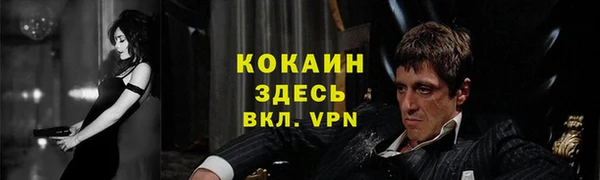 PSILOCYBIN Алзамай