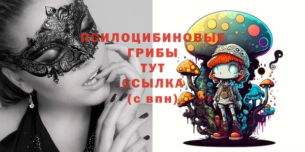 МДПВ Переславль-Залесский