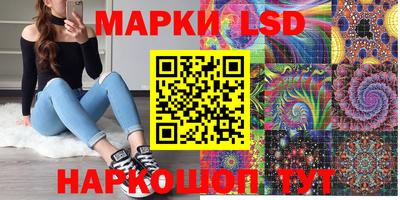 стафф Заволжье