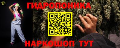 стафф Заволжье