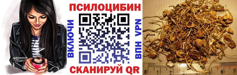 Псилоцибиновые грибы MAGIC MUSHROOMS  mega ССЫЛКА  Сосновоборск 