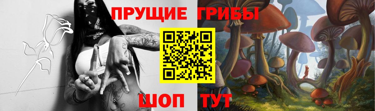 Псилоцибиновые грибы мухоморы Сосновоборск